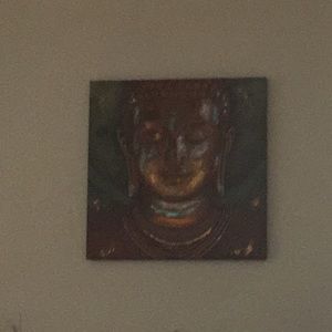 Meet your Posher, Anisha